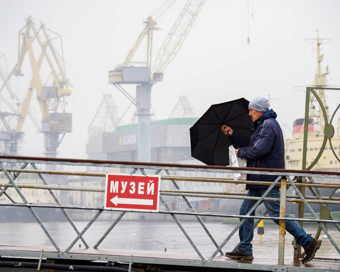 Виды Санкт-Петербурга. Мужчина с зонтом на фоне кранов грузового порта