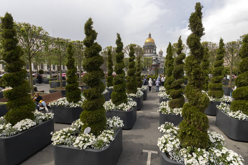 Липовый сад на Исаакиевской площади в честь 320 годовщины образования Санкт-Петербурга