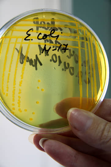 Супербактерии вырвались из больниц и лабораторий в окружающую среду