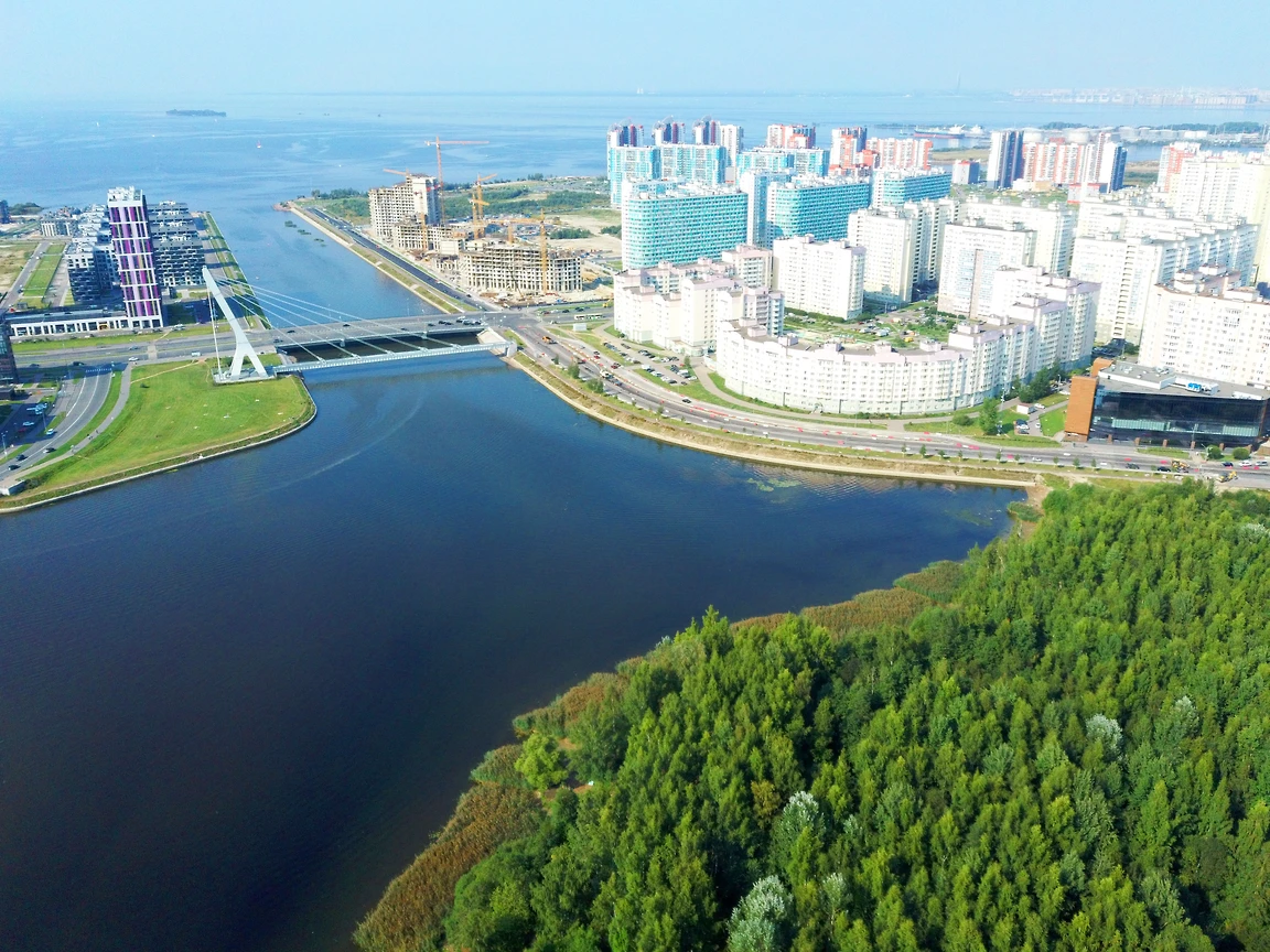 Ставка на вид – Коммерсантъ Санкт-Петербург