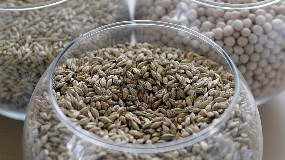 Доля использования импортных семян на Кубани достигает 95%.