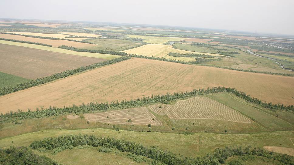 Главным активом ОПХ «Слава Кубани» являются 14,3 тыс. га обрабатываемой земли