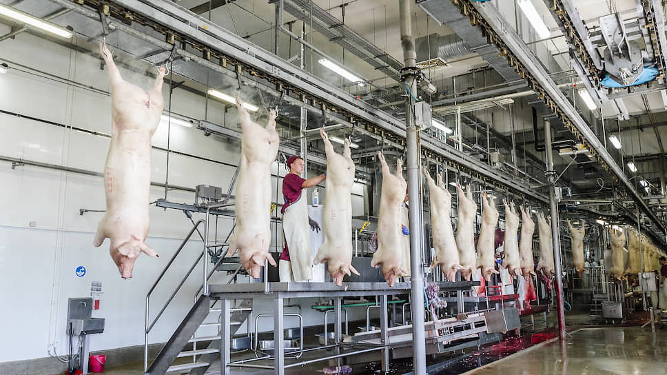 Найти место на российском рынке свинины «Индустриальному» будет сложно