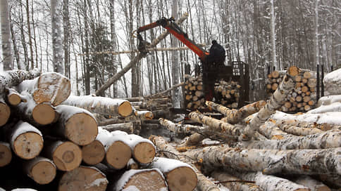 «Апшеронск» выводят из леса // Предприятию могут запретить заготовку и продажу древесины