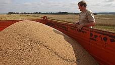 Донская компания ПКФ «Маяк» подписала соглашение с Китаем на поставку зерна