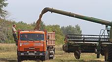 Жителя Ставрополья подозревают в похищении у предпринимателя 53 тонн пшеницы