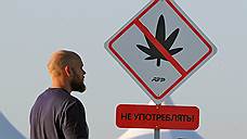 В Ставропольском крае у местного жителя изъяли полкилограмма марихуаны
