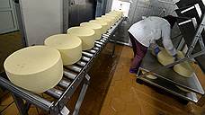 В Адыгее создали Союз производителей адыгейского сыра