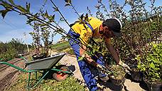 Холдинг «АФГ Националь» заложил в Краснодарском крае яблоневый питомник за 20 млн рублей