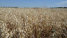 Аграрии Ставрополья собрали около 9 млн тонн зерна