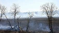 Семь очагов крупных возгораний выявили в Ростовской области