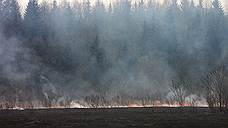 В одном из районов Ростовской области ввели режим ЧС из-за крупного пожара