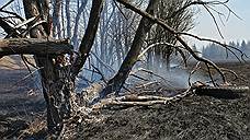 Площадь пожара в Усть-Донецком районе Ростовской области превысила 90 га
