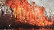 Крупный ландшафтный пожар потушили в пригороде Ростова