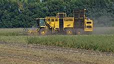 Россельхозбанк на треть увеличил кредитование сезонных сельхозработ на Кубани