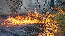В Аксайском районе Ростовской области потушили ландшафтный пожар
