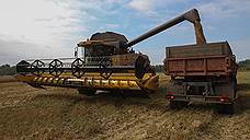 На Дону прогнозируют валовой сбор зерна в размере 13,2 млн тонн