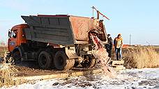 В Веселовское водохранилище выпущено 20 тонн толстолобика