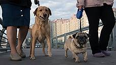 Ростовчан начнут штрафовать за выгул животных на детских площадках и стадионах
