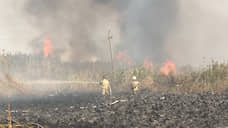 В Ростовской области вблизи Соленого озера тушат крупный природный пожар