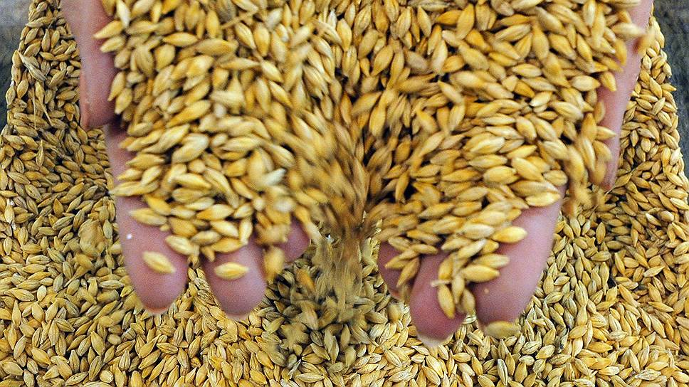 В 2016 году в России будет собрано больше 117 млн тонн зерна — это лучший урожай за последние 38 лет