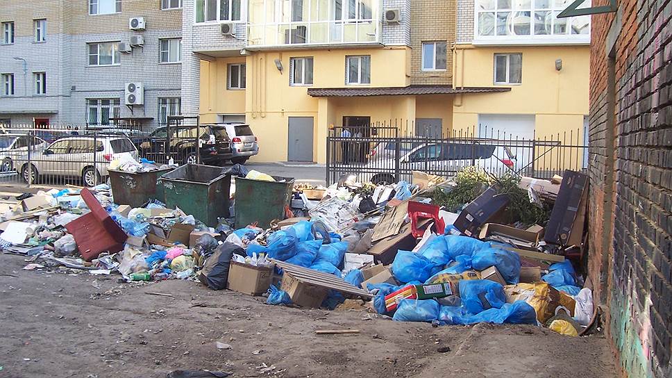 Тариф на вывоз мусора для населения Самарской области может оказаться одним из самых высоких в стране