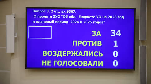 С надеждой на поддержку // В Ульяновской области приняли бюджет с оговорками