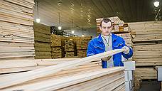 На развитие лесной промышленности в Ульяновской области направят 260 млн рублей