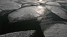 Четырех подростков спасли с дрейфующей льдины в Самарской области
