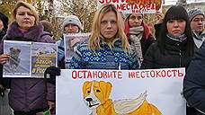 Митинг в поддержку закона о защите животных пройдет в Оренбурге