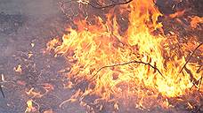 Высокая пожарная опасность в лесах Самарской области сохранится до начала августа