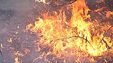 Высокая пожарная опасность в лесах Самарской области сохранится до конца рабочей недели