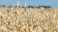 Почти четыре млн т зерна намолотили аграрии Оренбуржья
