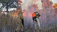 В Ульяновске в парке им. 40 лет ВЛКСМ загорелась сухая трава