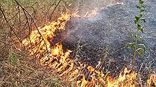 До середины мая в лесах Самарской области сохранится высокая пожароопасность