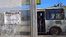 В трех коммерческих автобусных маршрутах Тольятти стали принимать социальные карты