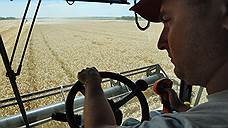 В Оренбуржье убраны зерновые и зернобобовые культуры на площади 16,9 тыс. га