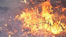 В Самарской области объявлено штормовое предупреждение из-за высокой пожароопасности лесов