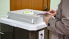 В Тольятти явка на выборах в городскую думу по состоянию на 18 часов превысила 25%