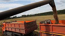 В Оренбургской области собрано более 2 млн тонн зерна