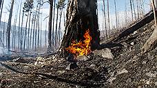 В Самарской области объявлено штормовое предупреждение из-за заморозков и высокой пожарной опасности лесов