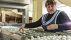 В Оренбургской области бастовавшим сотрудникам птицефабрики «Родина» выплатили зарплату