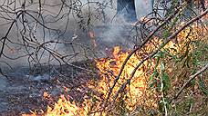 В Ульяновской области сохраняется высокий класс пожарной опасности в лесах