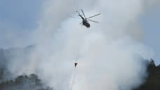 Крупный лесной пожар на площади 9,5 га в Самарской области тушит авиация МЧС