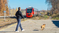 В пригородных поездах Оренбуржья предлагают бесплатно провезти питомца 30 ноября