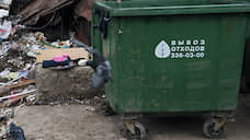 Тариф на вывоз мусора в Самарской области планируется увеличить на 4%