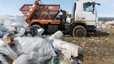 Тарифы на вывоз мусора в Самарской области пересмотрят