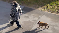 Новая зона для выгула собак появится в Ленинском районе Самары