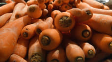 В Самарской области морковь подорожала почти до ста рублей