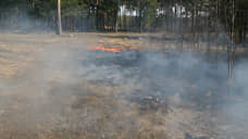 В Тольятти произошел лесной пожар на площади 1 гектар